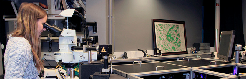 The mineral physics lab