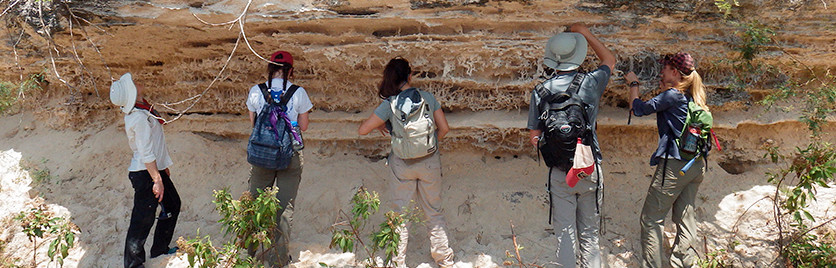 Students conduct field work in the Yucatan Peninsula