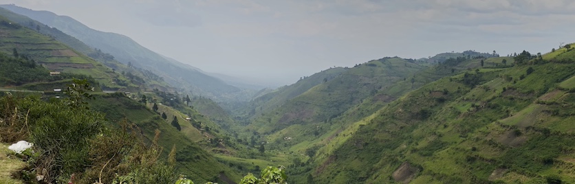 An overlook of a lush, green valley