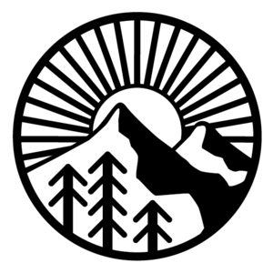 ION logo