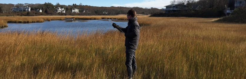 A student collects samples in a wetland