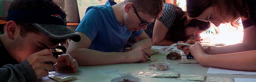 Students examine rocks using magnifying devices